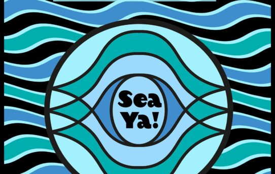 Sea Ya! Festival szuka zespołów!